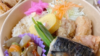 0418塩さば焼きと旨塩チキン竜田