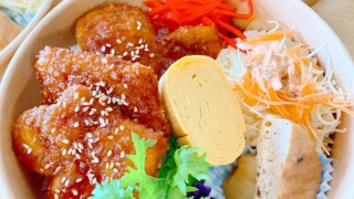 0419ソースカツ丼